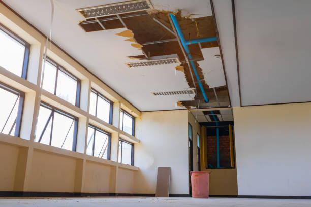 Best Ceiling water damage repair  in Tanaina, AK