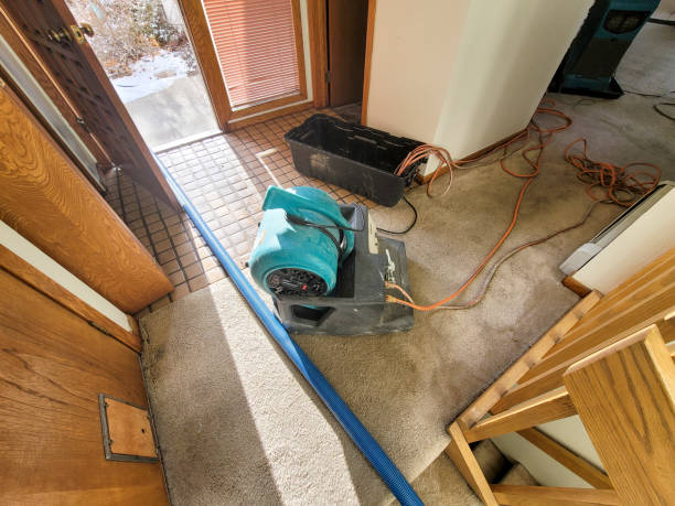Water damage restoration process in Tanaina, AK