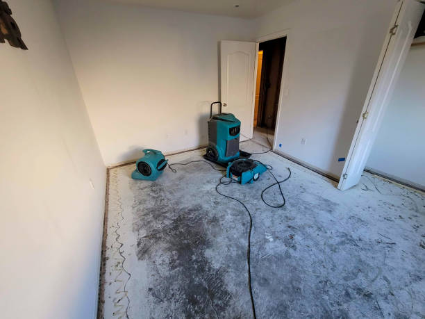 Best 24-hour water damage restoration  in Tanaina, AK