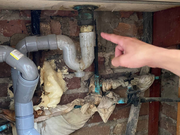 Best Emergency water damage restoration  in Tanaina, AK