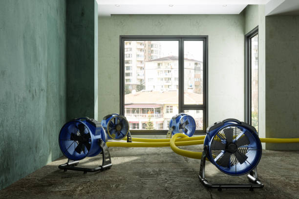 Best Residential water damage restoration  in Tanaina, AK